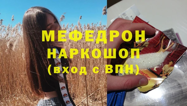 стафф Богданович