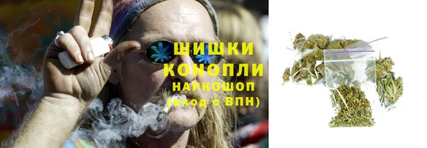 дурь Богородицк