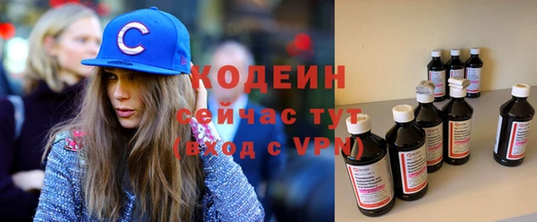 дурь Богородицк